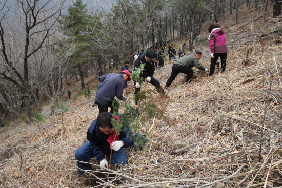 의령군, 자굴산서 식목일 나무심기 행사