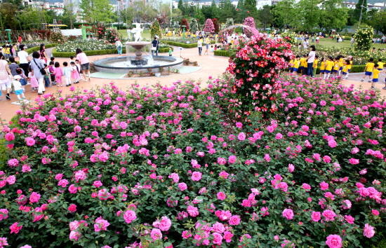 성산구 장미공원